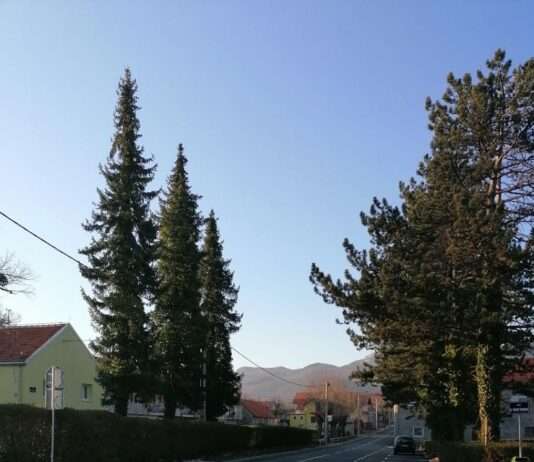 PRIJAVE DO 27.11. Općina Gračac isplaćuje umirovljenicima jednokratnu pomoć za blagdane