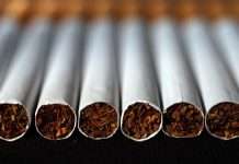 Velika akcija kod Rijeke: Otkrivena ilegalna tvornica cigareta, pogledajte što su pronašli
